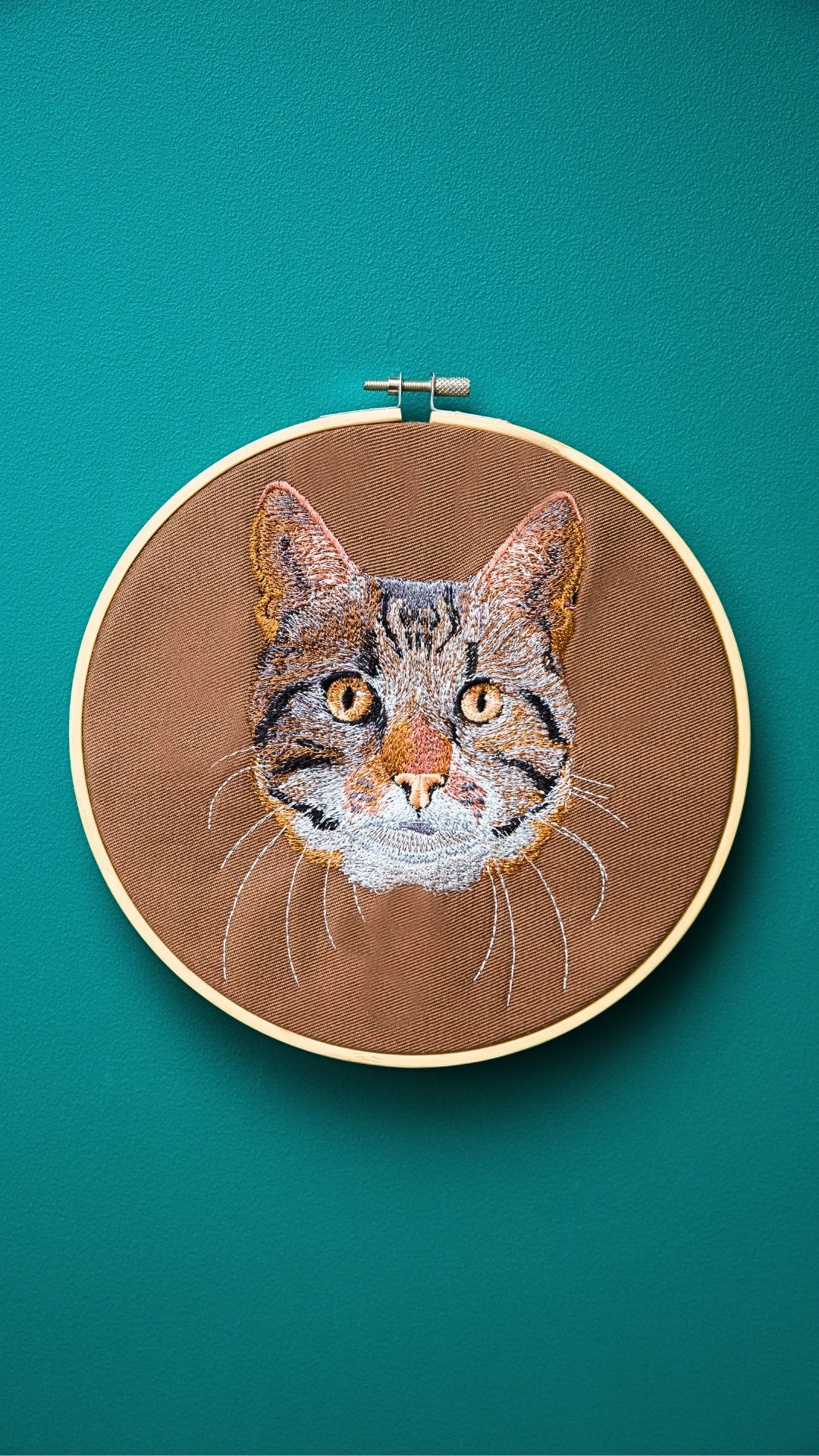 Kot - haft w tamborku 20 cm - obrazek 6